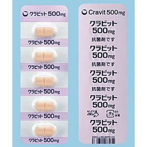Cravit左氧氟沙星片500mg:5片